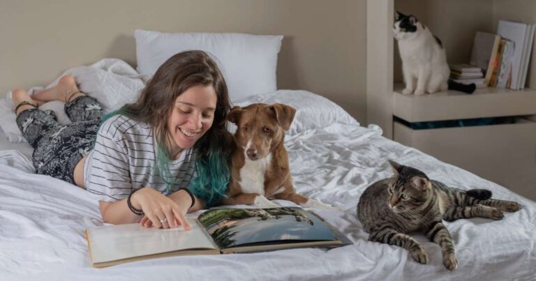 icm 23 web portadas notas (3)