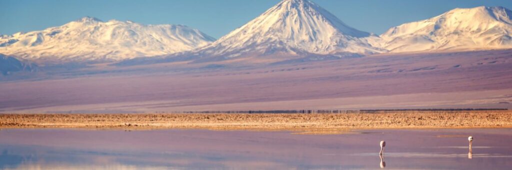 icm 24 ene web port notas (1)