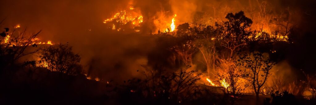 icm 24 sep web port notas (1)