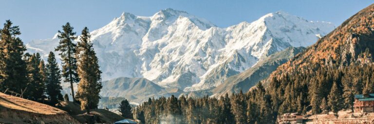 icm 25 ene web port notas (1)