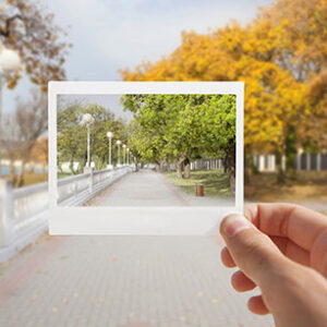 ipsos tatking responsibility political environmentbd 0