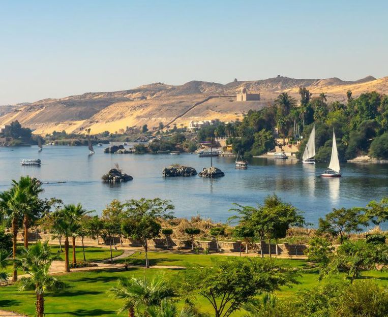 Home Ipsos Ipsos Update | febrero 2026